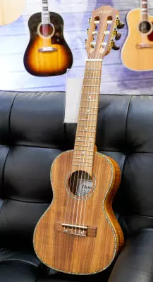 Denver - Guitar Ukulele 2